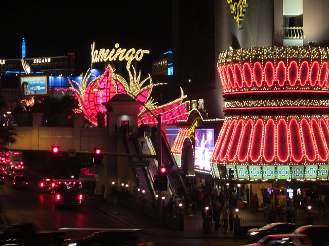 Strangest Casino Bets